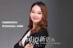 【5分钟教程】平顶山的大公司_哔哩哔哩-3